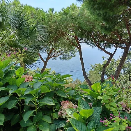 Apartment La Rosa Dei Venti