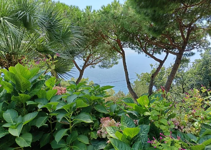 아파트 La Rosa Dei Venti By Affitti Brevi Liguria